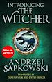 Télécharger le livre :  Introducing The Witcher