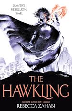 Télécharger le livre :  The Hawkling