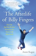 Télécharger le livre :  The Afterlife of Billy Fingers