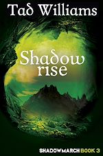 Télécharger le livre :  Shadowrise