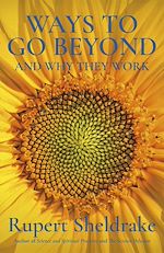 Télécharger le livre :  Ways to Go Beyond and Why They Work