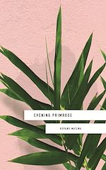 Download this eBook Evening Primrose: a heart-wrenching novel for our times