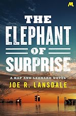 Télécharger le livre :  The Elephant of Surprise