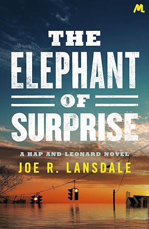Download the eBook: The Elephant of Surprise