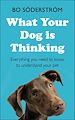 Télécharger le livre :  What Your Dog Is Thinking