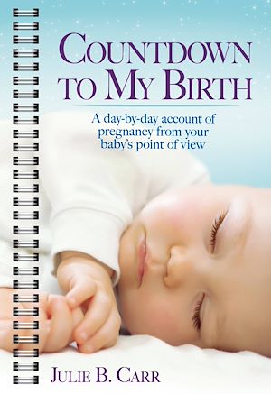 Download the eBook: Countdown To My Birth