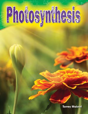 Téléchargez le livre :  Photosynthesis