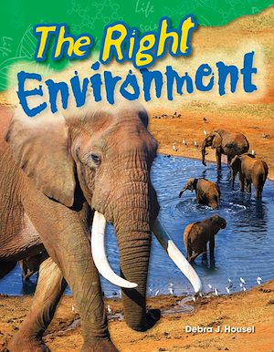 Téléchargez le livre :  The Right Environment
