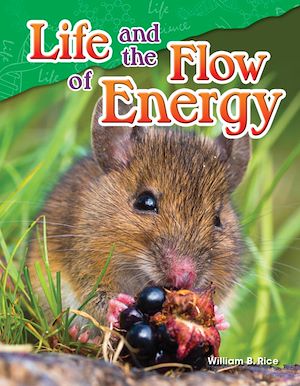 Téléchargez le livre :  Life and the Flow of Energy