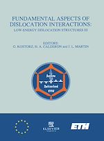 Télécharger le livre :  Fundamental Aspects of Dislocation Interactions