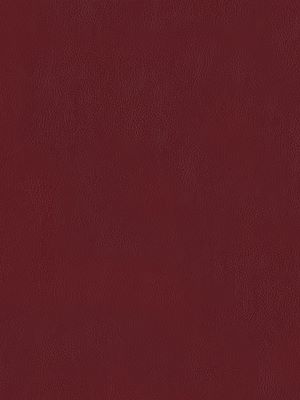 Téléchargez le livre :  Surface & Coatings Technology