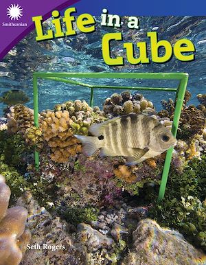 Téléchargez le livre :  Life in a Cube