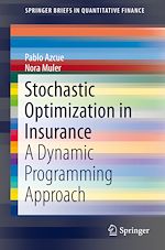 Télécharger le livre :  Stochastic Optimization in Insurance