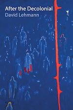 Download this eBook After the Decolonial