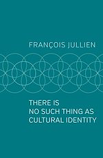 Télécharger le livre :  There Is No Such Thing as Cultural Identity