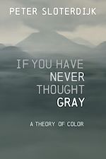 Télécharger le livre :  If You Have Never Thought Gray