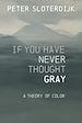 Télécharger le livre :  If You Have Never Thought Gray