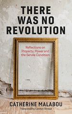 Download this eBook There Was No Revolution