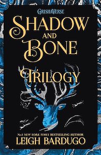 Téléchargez le livre :  Shadow and Bone Trilogy Books 1-3