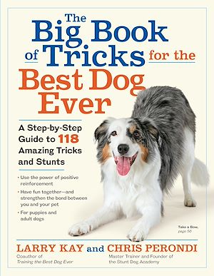 Téléchargez le livre :  The Big Book of Tricks for the Best Dog Ever