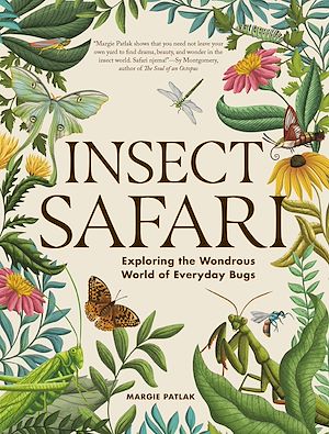 Download the eBook: Insect Safari