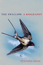 Download this eBook The Swallow