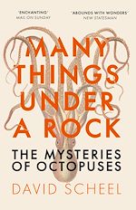 Télécharger le livre :  Many Things Under a Rock