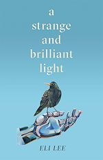 Télécharger le livre :  A Strange and Brilliant Light: Winner of the Writers' Guild Best First Novel Award
