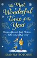 Télécharger le livre :  The Most Wonderful Time of the Year
