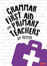 Téléchargez le livre :  Grammar First Aid for Primary Teachers