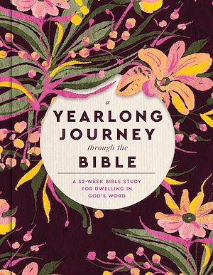 Téléchargez le livre :  A Yearlong Journey Through the Bible