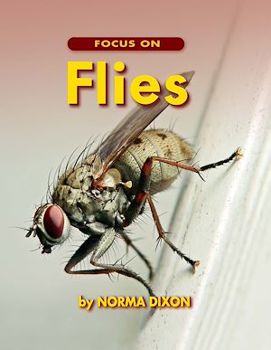Download the eBook: Focus on Flies