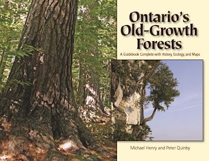 Download the eBook: Ontario's Old-Growth Forests
