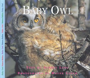 Téléchargez le livre :  Baby Owl