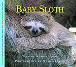 Download this eBook Baby Sloth