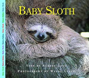 Download the eBook: Baby Sloth