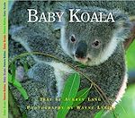 Download this eBook Baby Koala