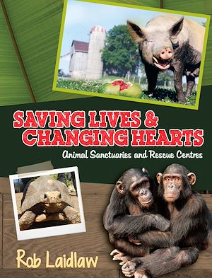 Download the eBook: Saving Lives and Changing Hearts