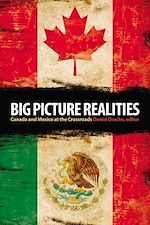 Télécharger le livre :  Big Picture Realities