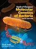 Télécharger le livre :  Snyder and Champness Molecular Genetics of Bacteria