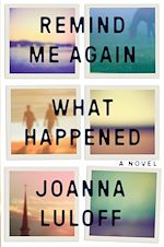 Télécharger le livre :  Remind Me Again What Happened