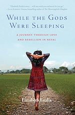 Télécharger le livre :  While the Gods Were Sleeping