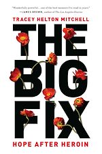 Télécharger le livre :  The Big Fix