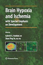 Télécharger le livre :  Brain Hypoxia and Ischemia