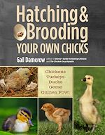 Télécharger le livre :  Hatching & Brooding Your Own Chicks