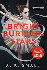 Download this eBook Bright Burning Stars