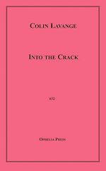Download this eBook Into the Crack