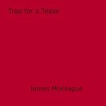 Télécharger le livre :  Trap for a Tease