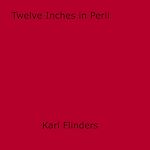 Download this eBook Twelve Inches in Peril