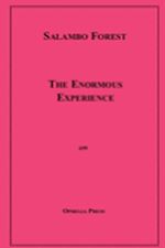 Download this eBook The Enormous Experience